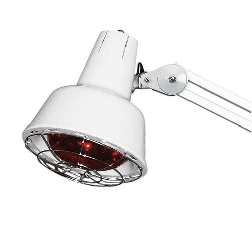 AMPOULE IR 275W THERAPLAMP