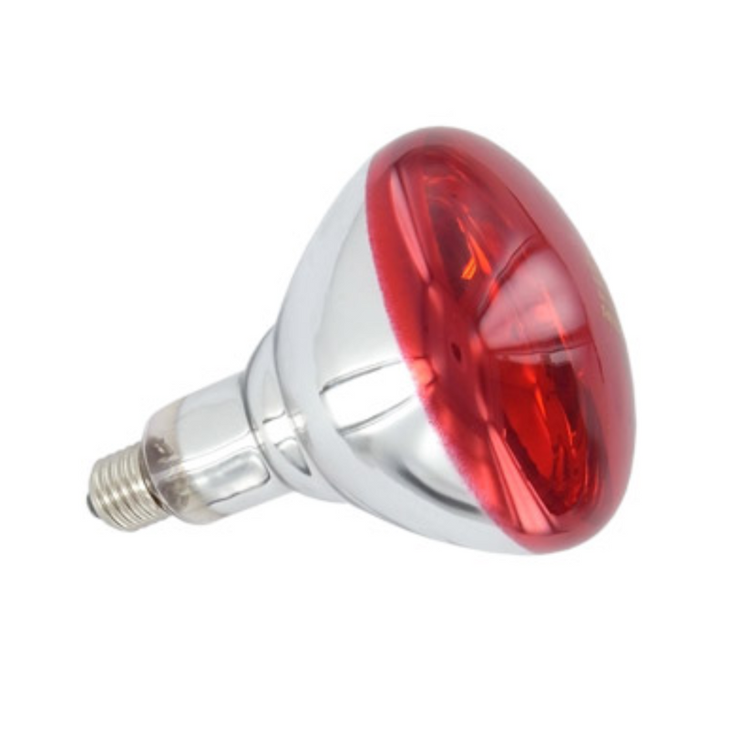 Ampoule de rechange pour lampe infrarouge LED Thera